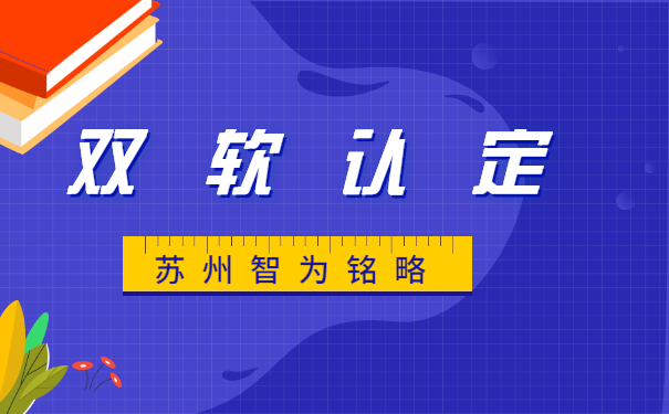 雙軟企業