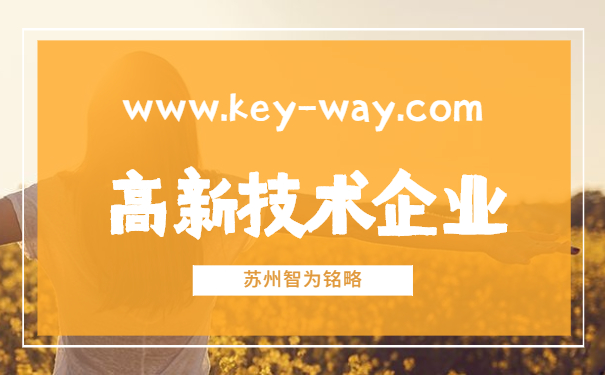 蘇州高新技術企業(yè)