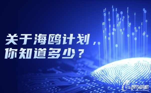 關于海鷗計劃，你知道多少？.jpg