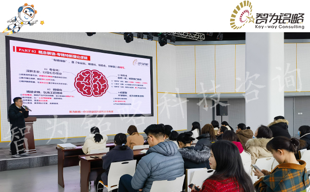 智為銘略受邀主講專精特新企業申報實務指導專題培訓會
