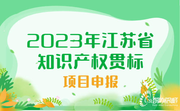2023年江蘇省知識產(chǎn)權(quán)貫標(biāo)項(xiàng)目咨詢