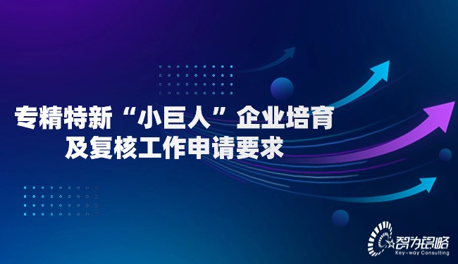 專精特新“小巨人”企業培育及復核工作申請要求.jpg