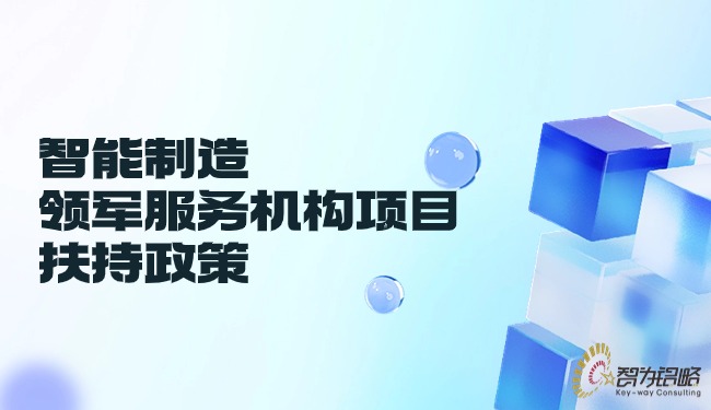 智能制造領(lǐng)軍服務(wù)機(jī)構(gòu)項目扶持政策.jpg