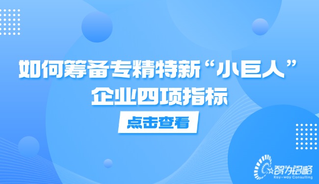 如何籌備專精特新“小巨人”企業四項指標.jpg
