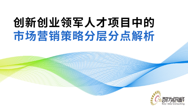 創新創業領軍人才項目中的市場營銷策略分層分點解析.png
