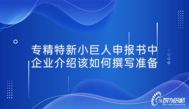 專精特新小巨人申報書中的企業(yè)介紹該如何撰寫準備.jpg